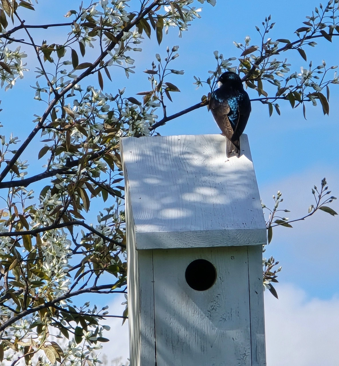 Ferme Le Chèvrefeuille